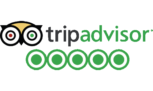Egypt United Tours tripadvisor Reviews