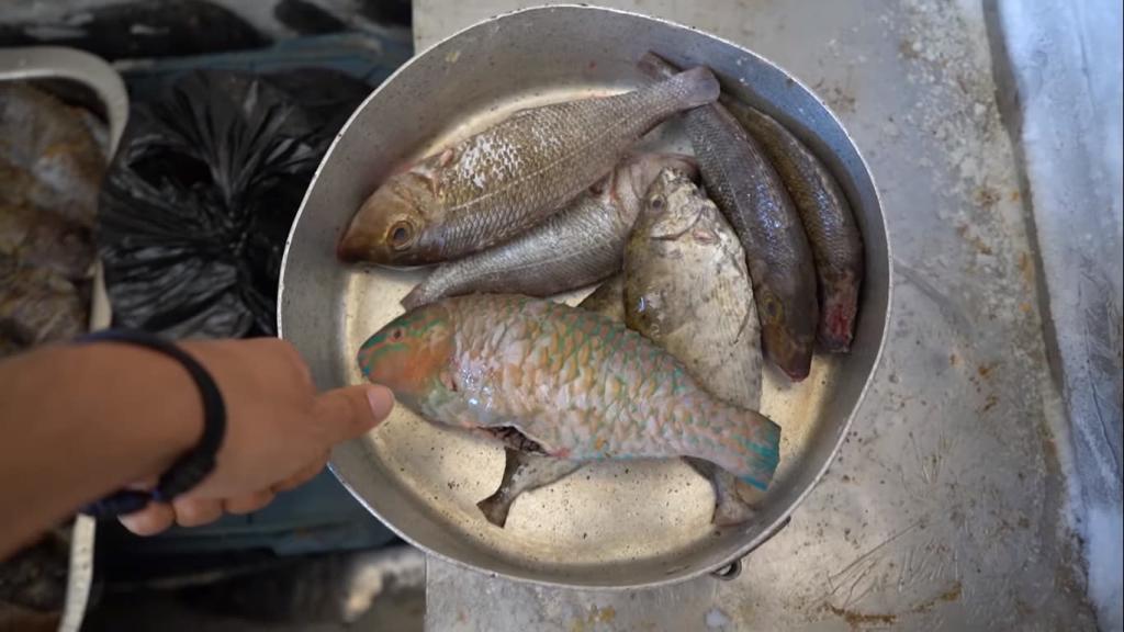 egypt cuisine