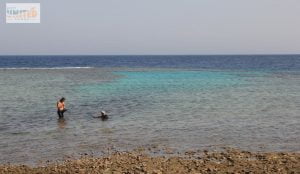 All Inclusive Egypt 10 Days Vacation With Dahab Trip From Canada 2025/2026