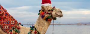 10 Days Egypt Christmas Vacation Package 2025
