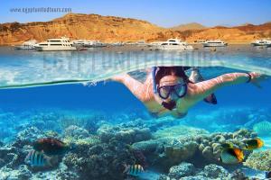 Holiday to Taba with Nile Cruise 2024/2025