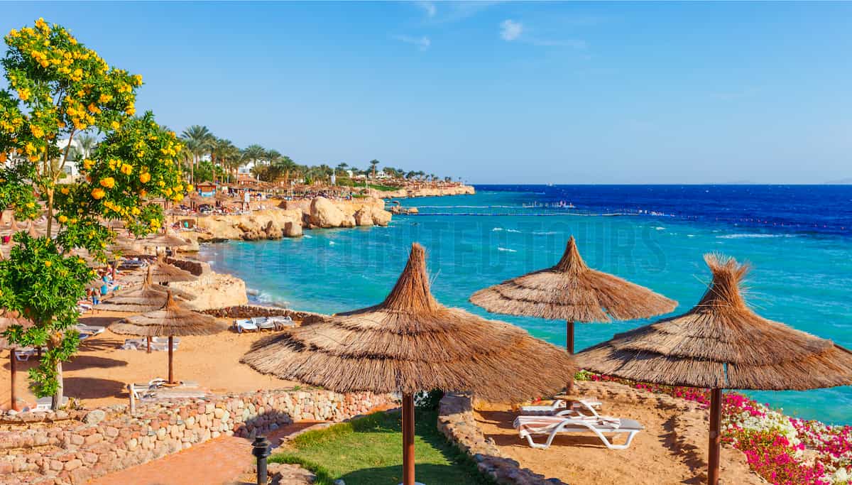 Red Sea Holidays Packages