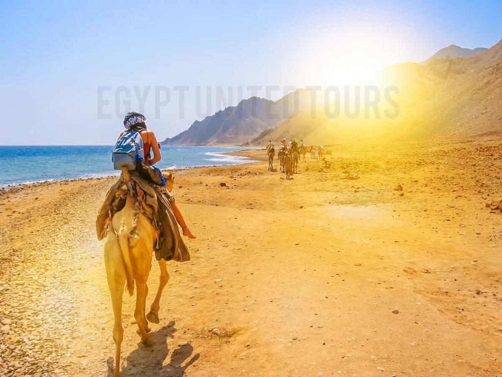 Best Desert Safari in Sharm El Sheikh In 2025