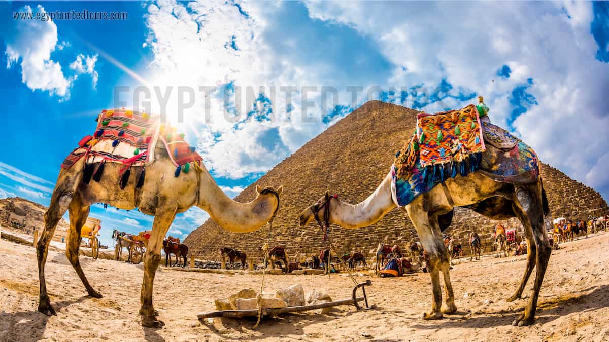 Best Holidays to Egypt