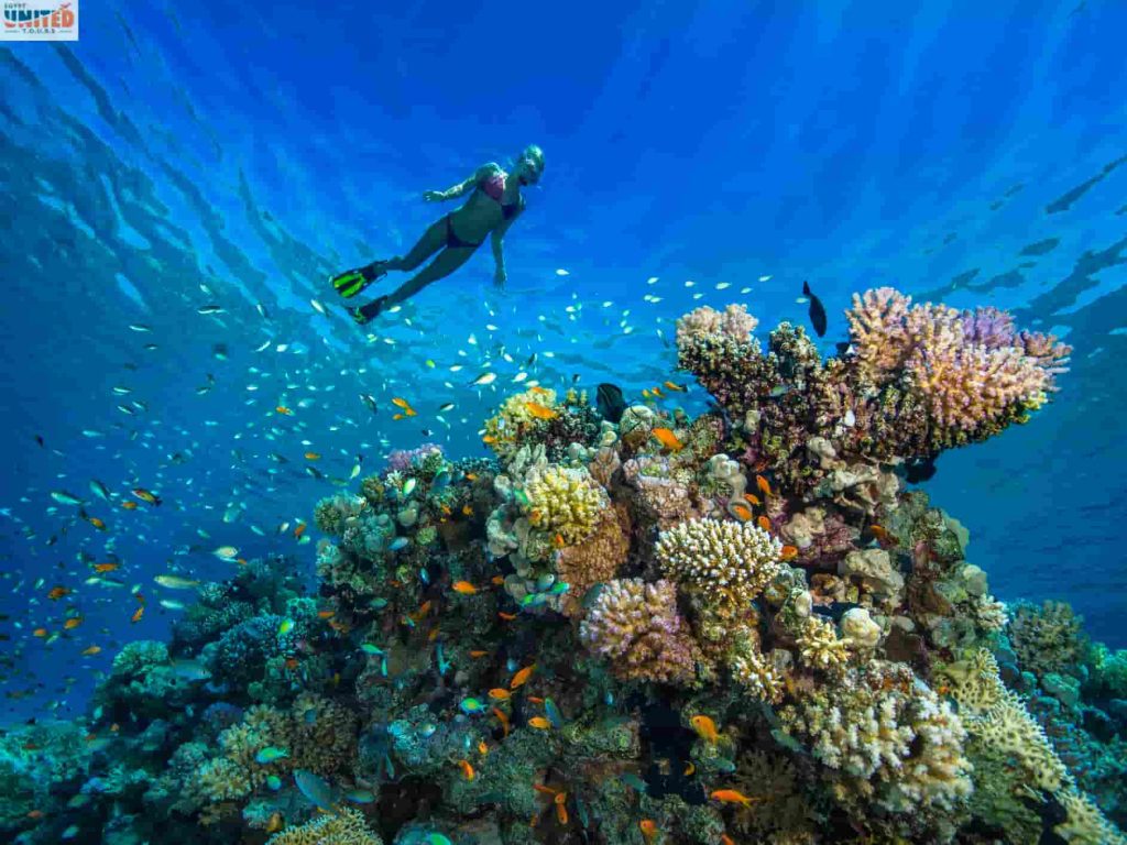 12 days Egypt Luxury Tour Package with Nile Cruise and Red Sea