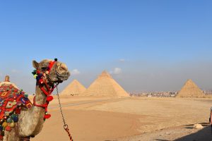 7 Days Luxury Egypt Family trip from Australia to Cairo and Hurghada 2025/2026