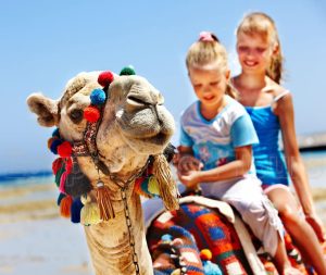Egypt All Inclusive Family Vacation 12 days with Red Sea 2025/2026