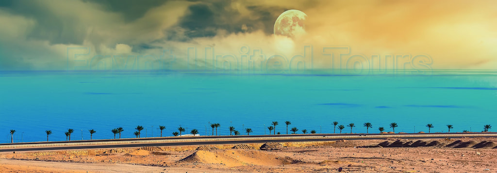 Red Sea