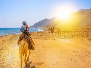 A Splendid 15 Days Sharm El-Sheikh And St. Cathrine Trip 2025/2026