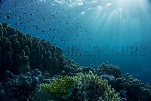 A Splendid 15 Days Sharm El-Sheikh And St. Cathrine Trip 2025/2026