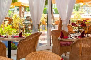 4 Days At Pyramids Park Resort With Tours Included In This Package 2025/2026