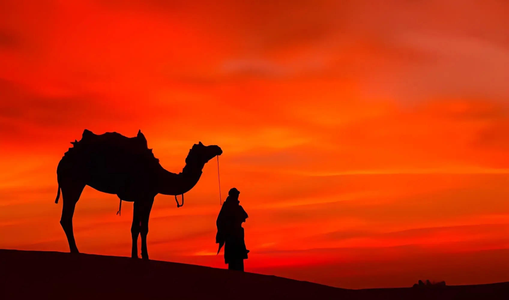 8 Days Cairo, Luxor, and Petra Tour Package 2025/2026