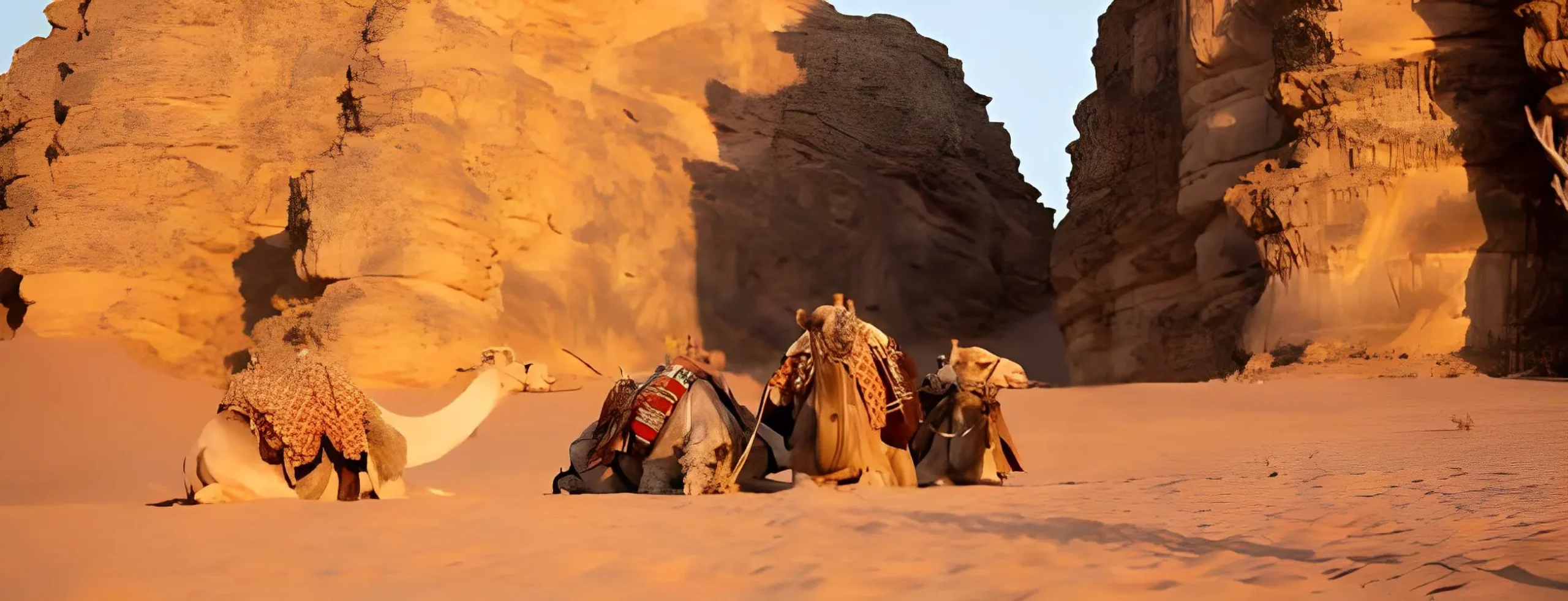 The Most Incredible 14-Day Egypt and Jordan Tours From Amman 2025/2026
