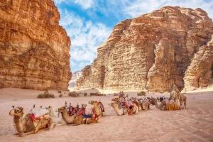 14 Days Egypt and Petra Trip Package 2025/2026