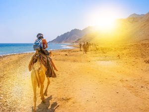 April Holidays and Tours in Egypt