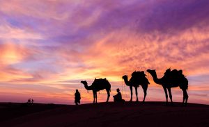 July Holidays and Tours in Egypt