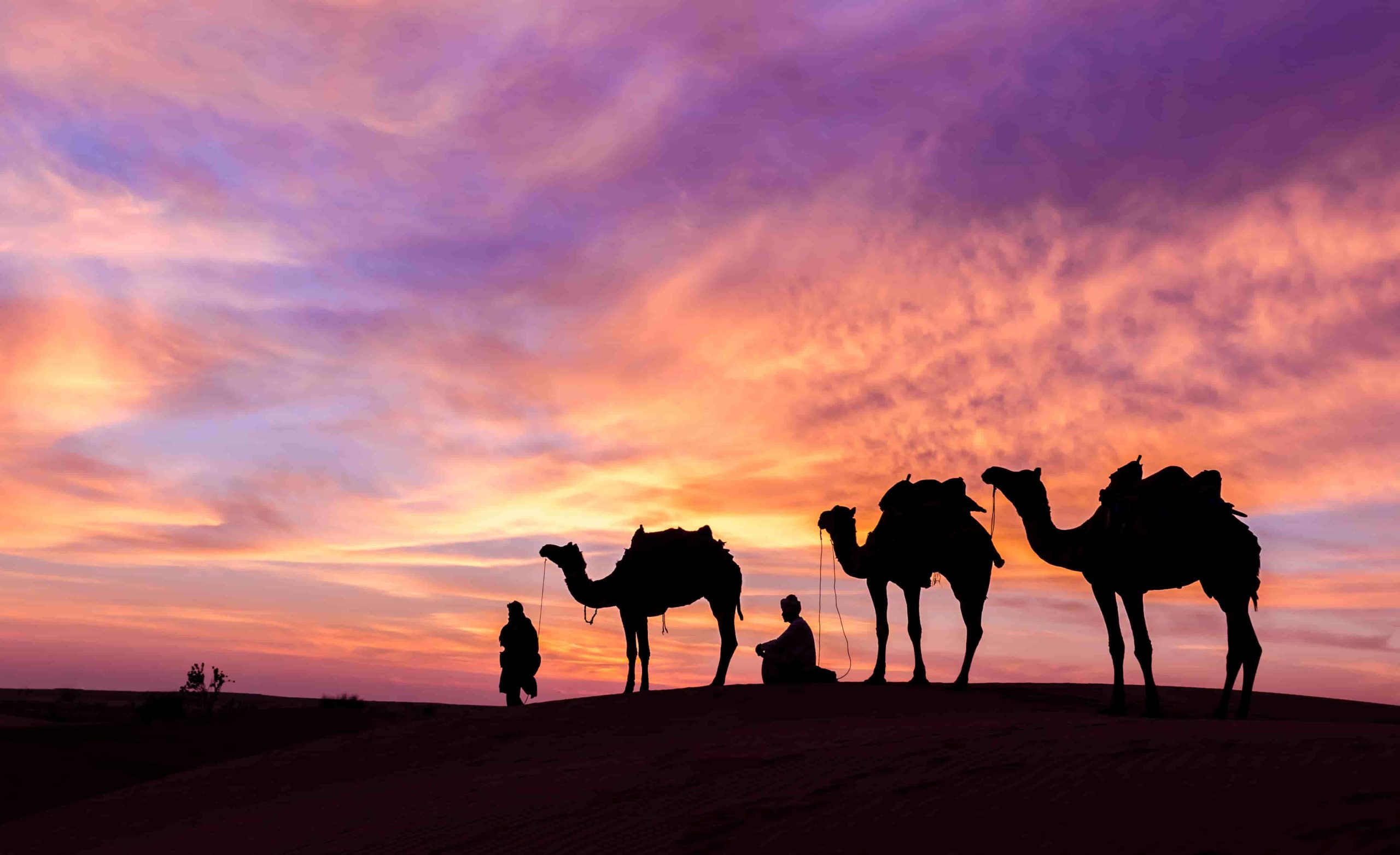 July Holidays and Tours in Egypt