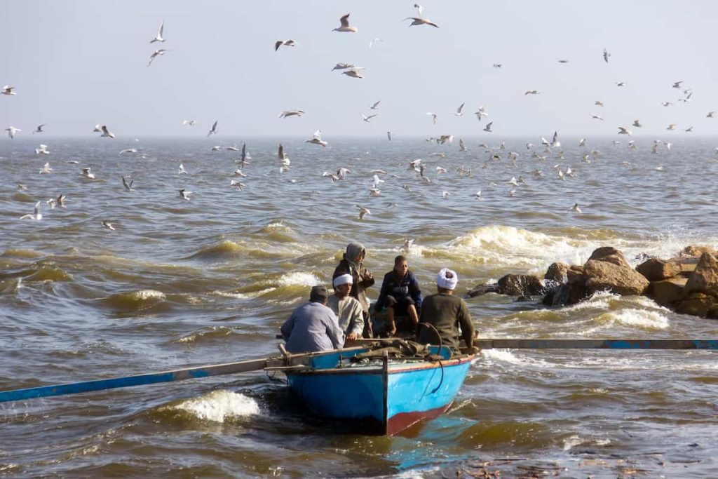 Lake Qarun with birds flying 