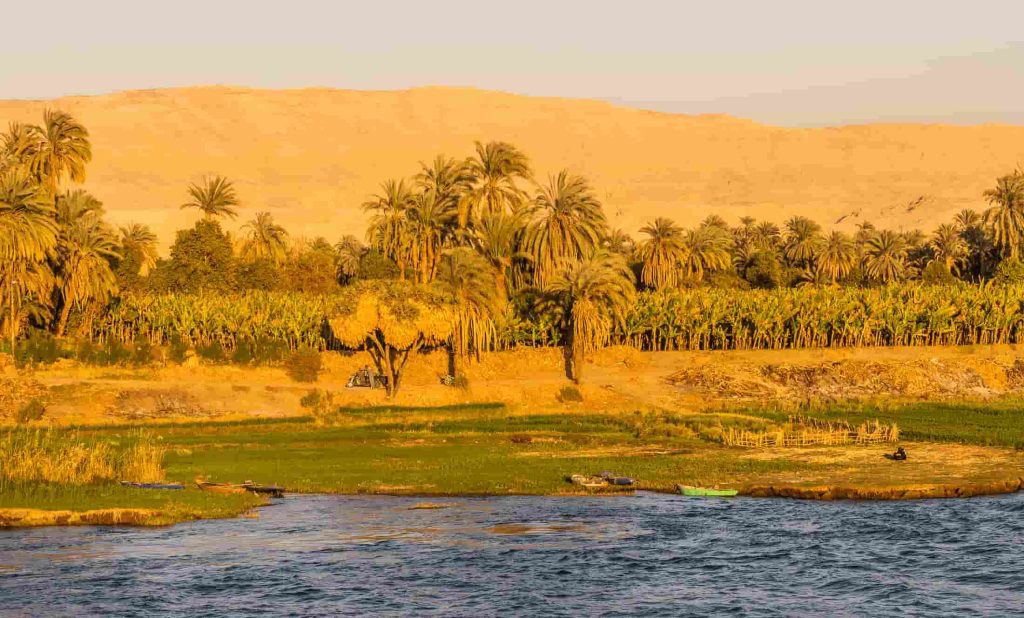 Agriculture in the Egyptian desert