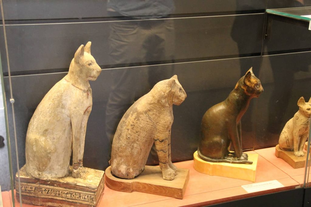 Ancient Egypt Cat