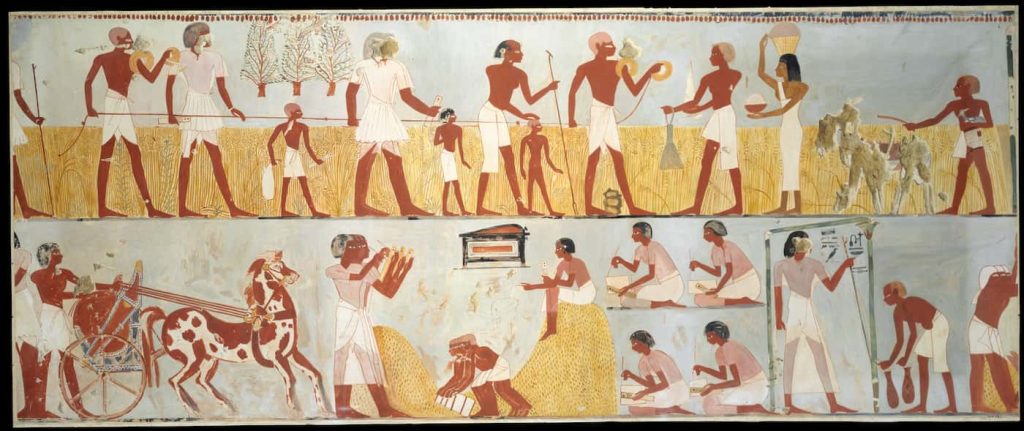 Ancient Egyptian Agriculture