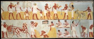 Ancient Egyptian Agriculture