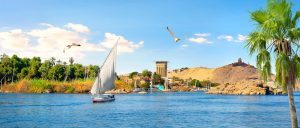 8 Days Best Cairo and Nile Cruise Luxury Vacation from Australia
