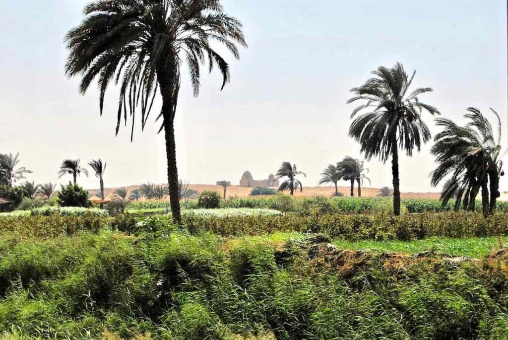 Faiyum Oasis