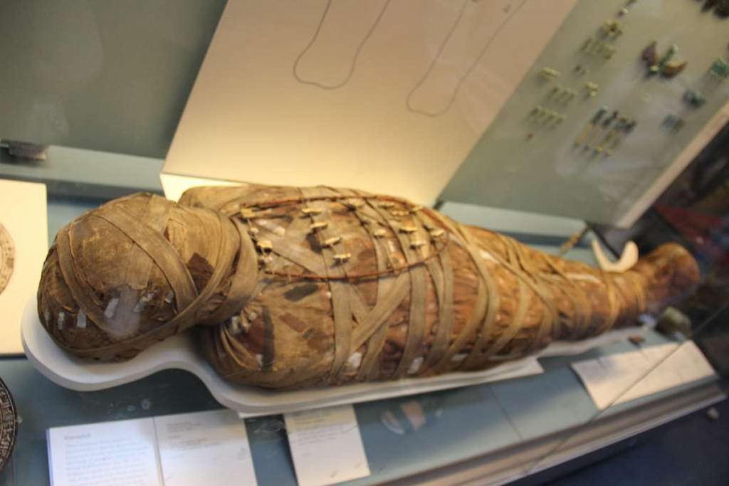 egyptian mummy with funerary amulets