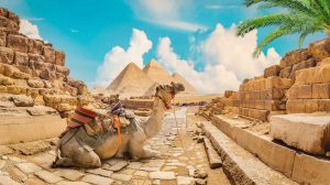 14 Days Best Cairo and Nile Cruise with Red Sea Vacation from USA