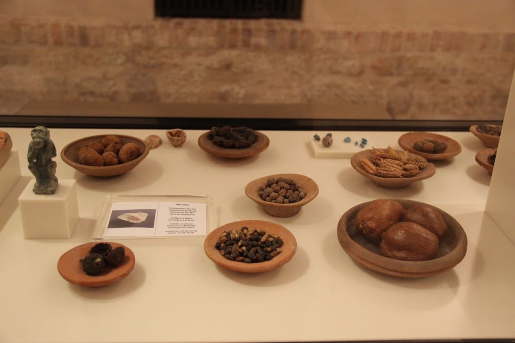 Ancient Egypt Preserved Food