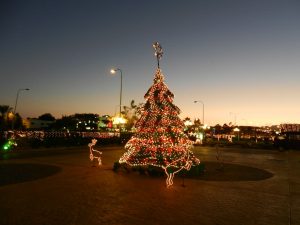 Christmas In Egypt