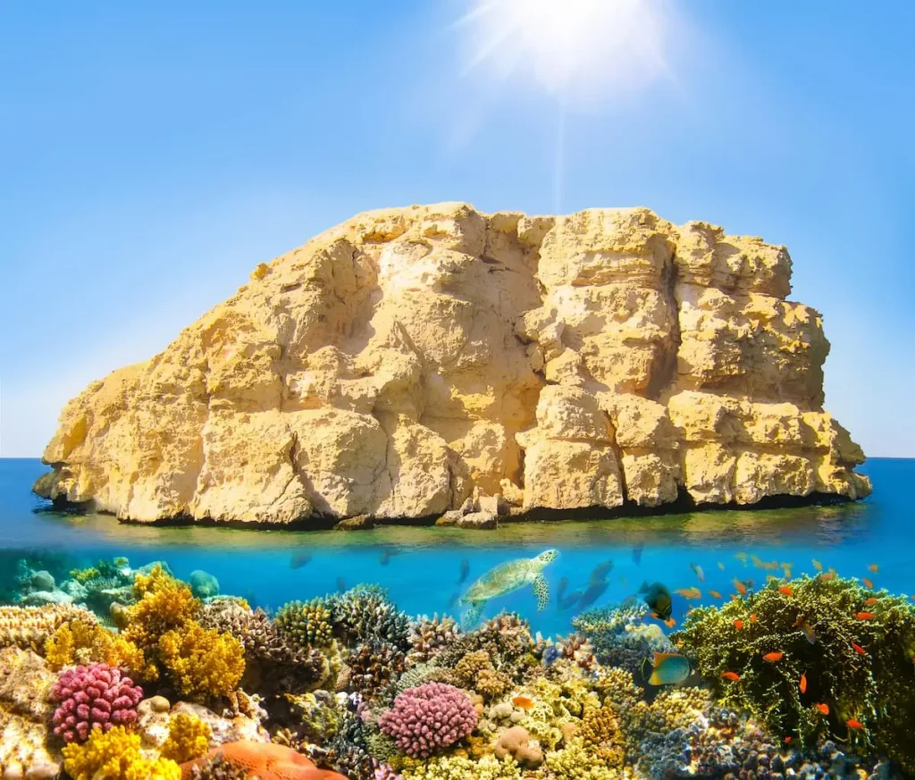 Split shot with coral reef underwater and rocky land of the Ras Muhammad National Park, Red Sea, Egypt