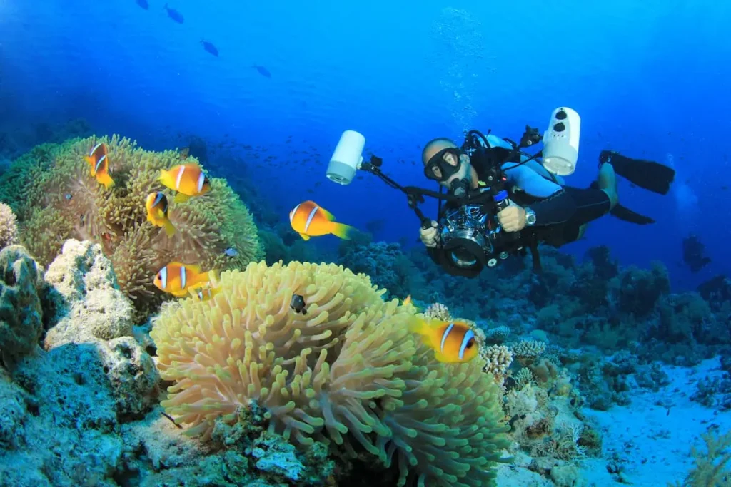 Scuba Diving Underwater Photographer with Tropical Fish in the Ocean