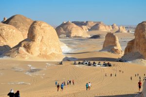 Farafra Oasis