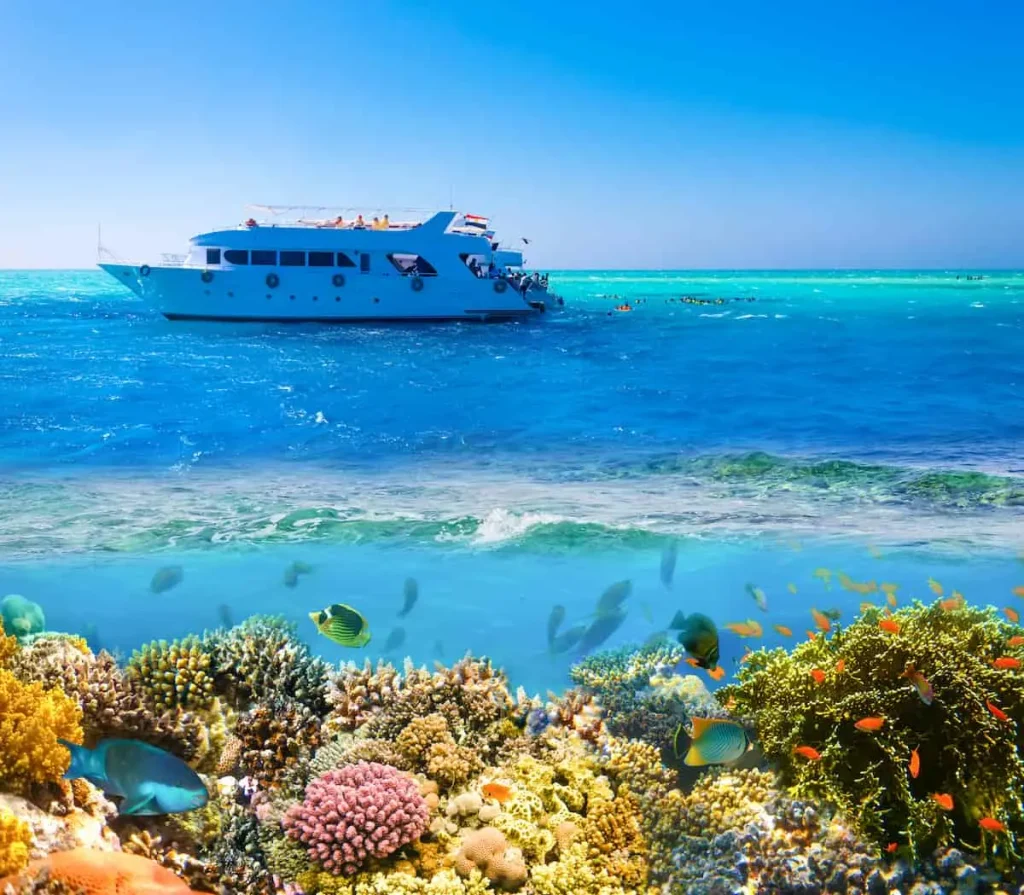 Sail boat ship with tourists in Ras Mohamed National Park in the Red Sea, Sharm El Sheikh, Egypt. Collage with coral reef and fishes.
