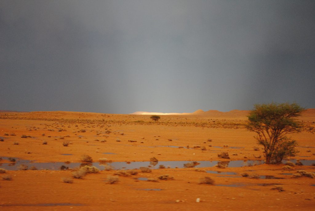Libyan Desert