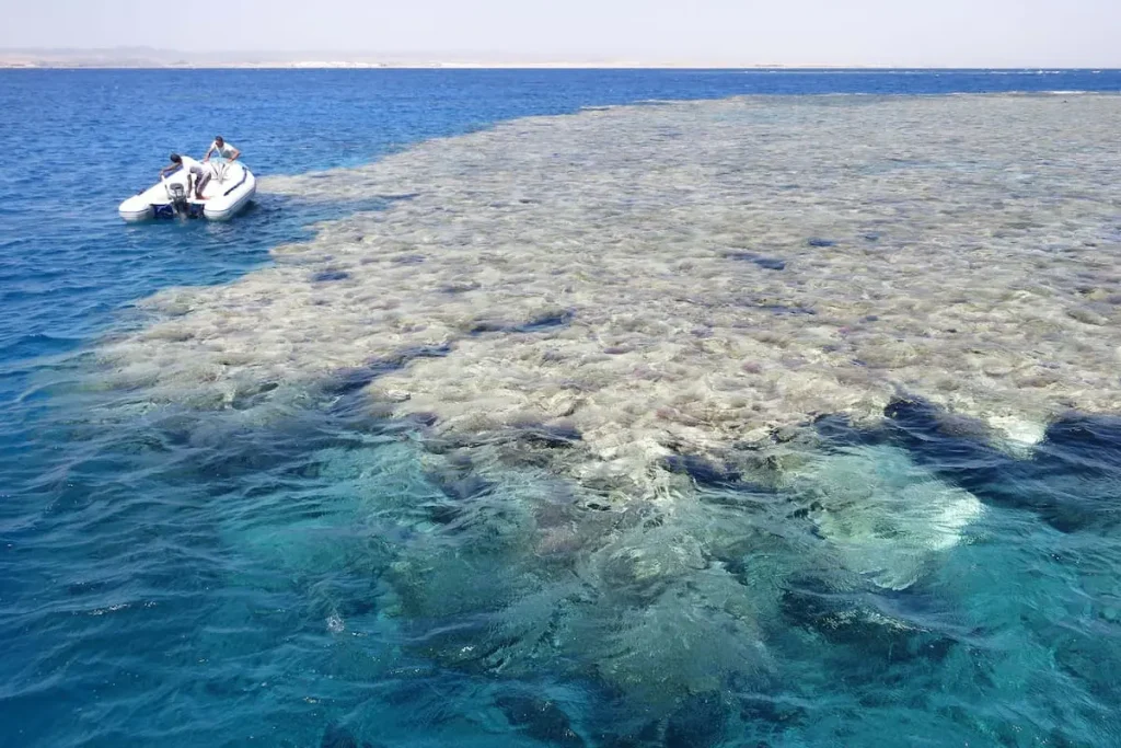 Marsa Abu Dabbab