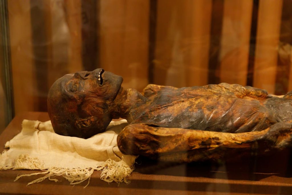 Egyptian human mummy in the museum. High quality photo