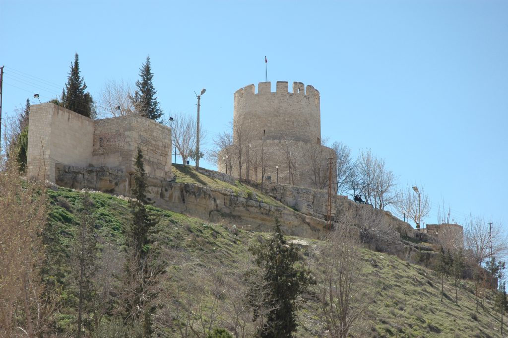 Mut citadel