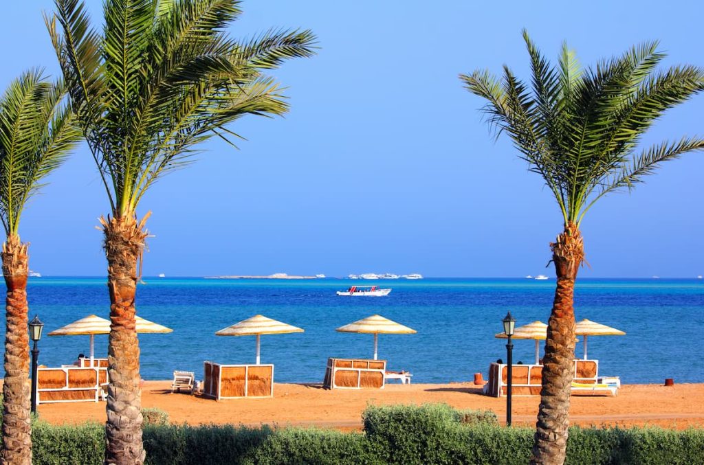 palm trees and tropical beach in Egypt