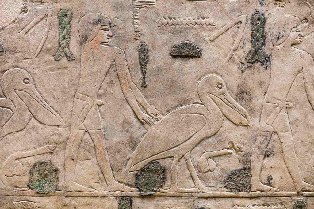Relief blocks from the sun temple of pharaoh Niuserre