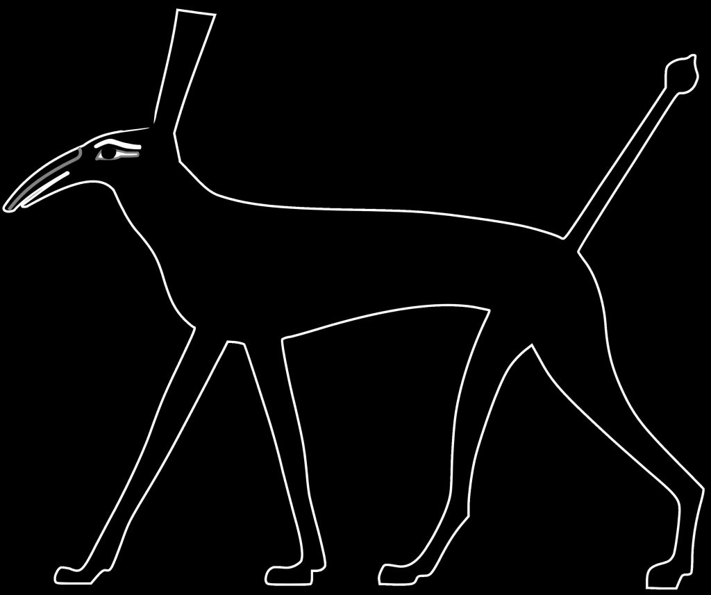 Set_animal
