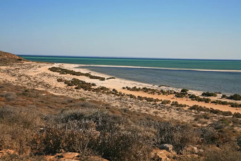 Shark’s Bay