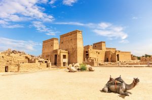 8 Days Cairo and Nile Cruise Trip from Canada Itinerary 2025