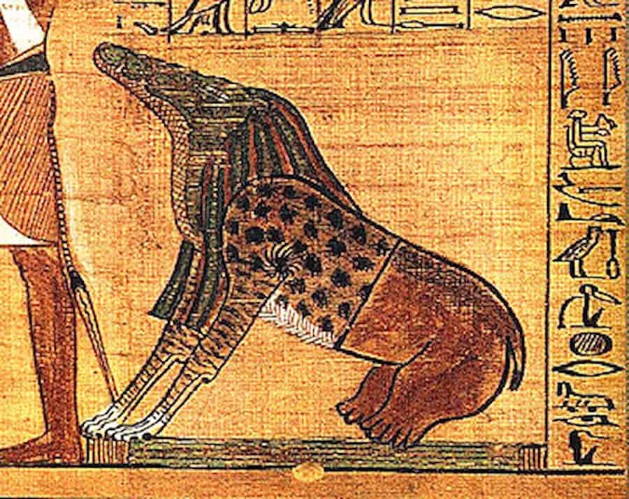Ammit