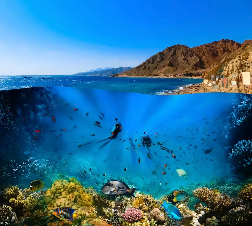 Scuba Diver over underwater canyon at blue hole at Dahab, Egypt. Collage with coral and fish