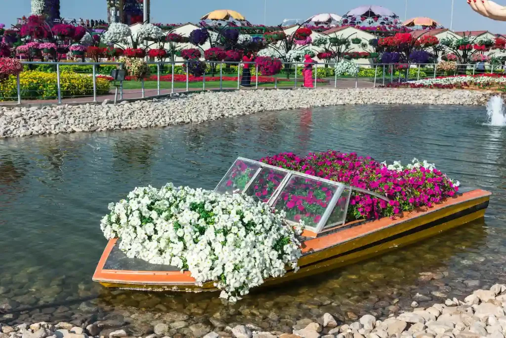 dubai miracle garden with over million flowers on a sunny day
