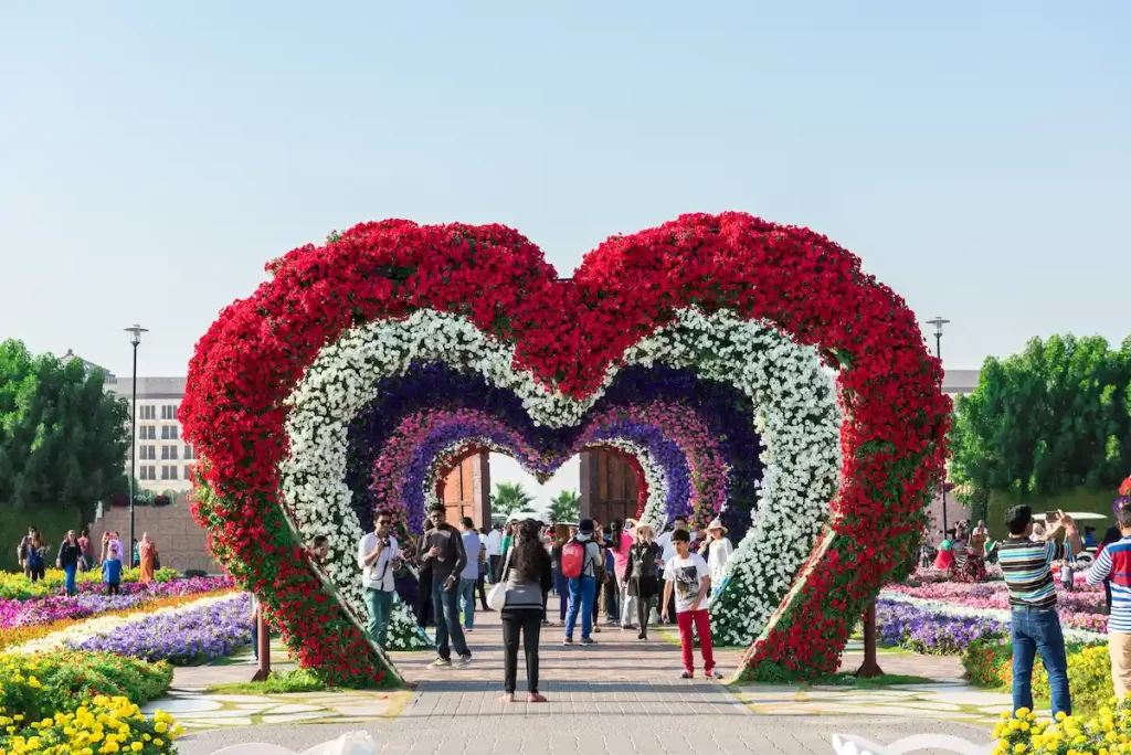 dubai miracle garden with over million flowers