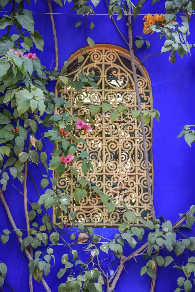he Majorelle Gardens of Yves Saint Laurent, Casa Oasis, Marrakech